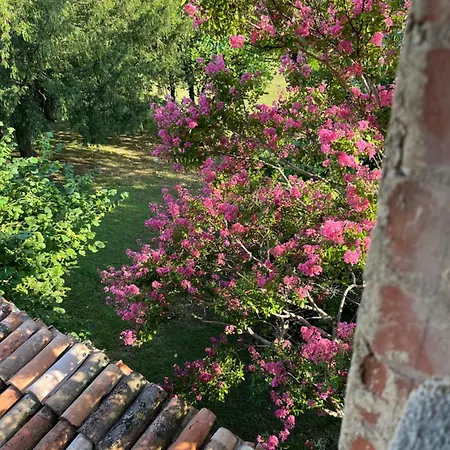 Borgo Valentini * Scandiano